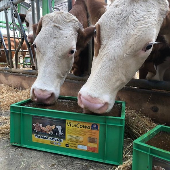 VitaCowa Vitamin Mineral Yalama Kovası 25 Kg - 2