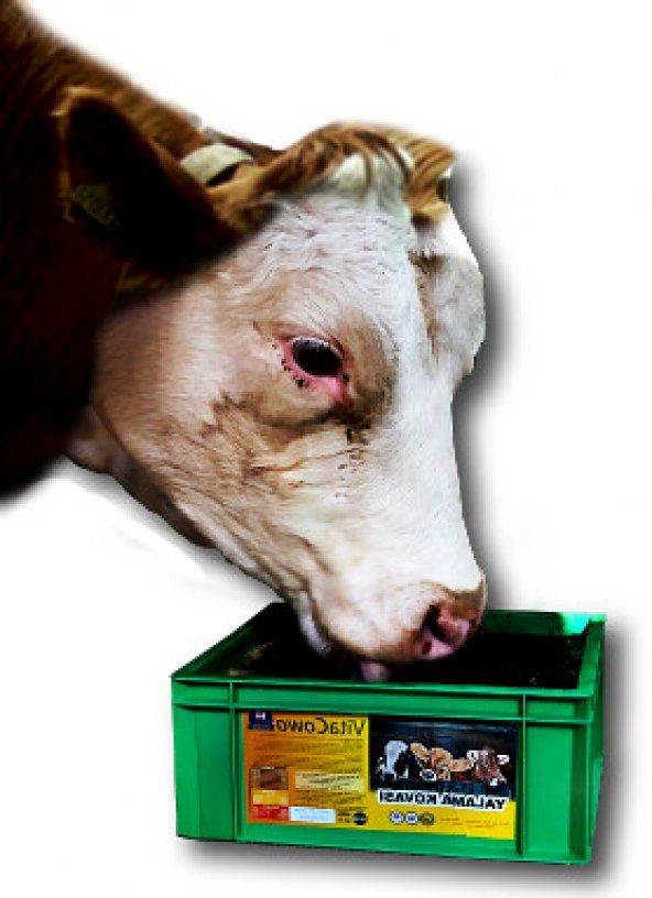 VitaCowa Vitamin Mineral Yalama Kovası 25 Kg - 3