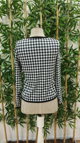 Kadın Uzun Kollu Kaz Ayağı Desenli şardonlu Dalgıç Ceket - 5