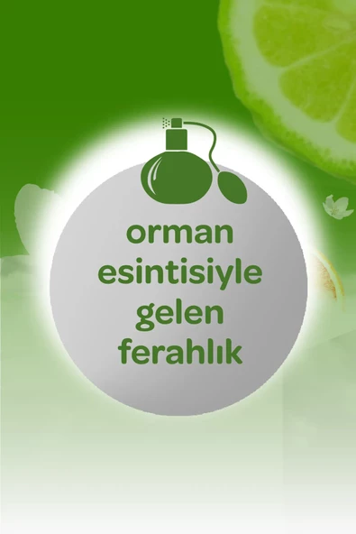 Dalin Kolonya Orman Esintisi 150 ml - 4