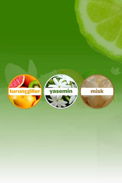 Dalin Kolonya Orman Esintisi 150 ml - 3