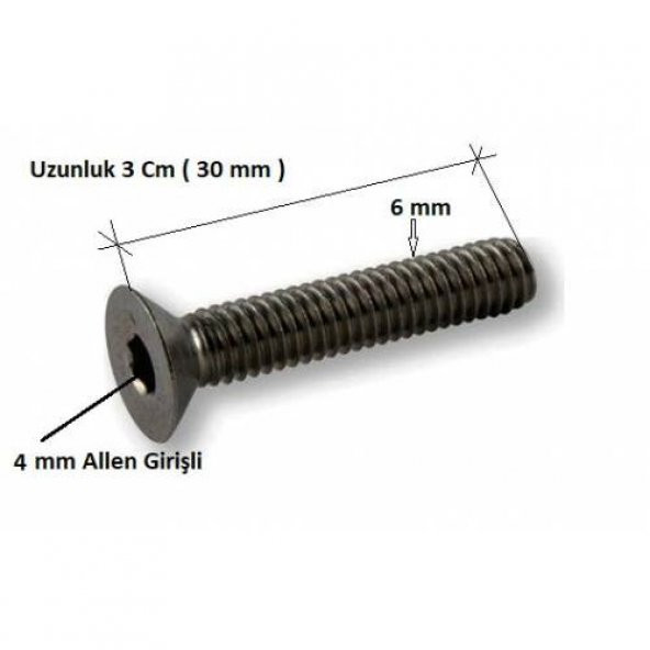 Havşa Başlı İmbus Civata 6MX30mm 10 Adet - Resim 2