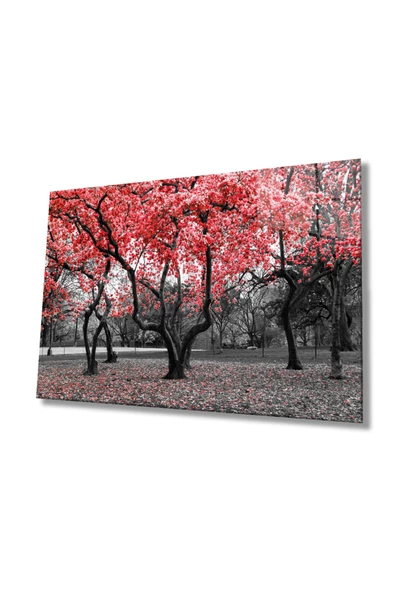 Kırmızı Ağaçlar Doğa Dekoratif ve Modern Cam Tablo, Ev ve Ofis Duvar Dekoru, Hediyelik Büyük Temperli 4 mm Dekoratif ve Modern Cam Tablo ürün görseli