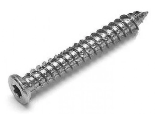 BULDEX VİDA 7,5X100 DÜBELSİZ VİDA  100 ADET T30x50 UÇ HEDİYELİ
