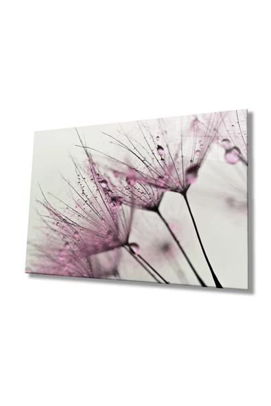 Pembe Karahindiba Dekoratif ve Modern Cam Tablo ürün görseli