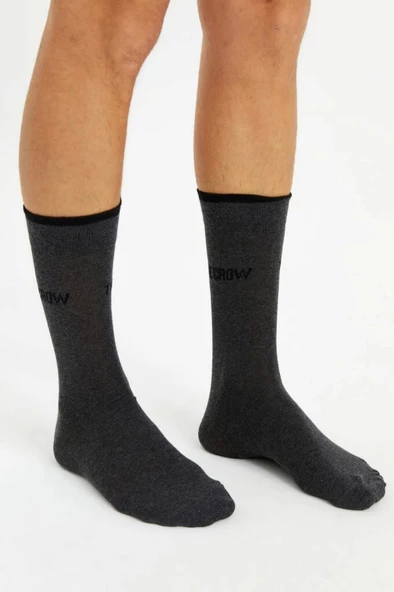 Anthracite SPARTACUS