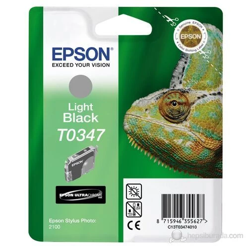 Epson C13T034740 (T0347) Açık Siyah Light Black Orjinal Kartuş Stylus Photo 2100 ürün görseli