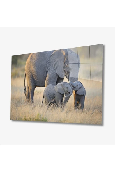 Filler Hayvan Dekoratif ve Modern Cam Tablo 4mm Dayanıklı Temperli Cam ürün görseli 1