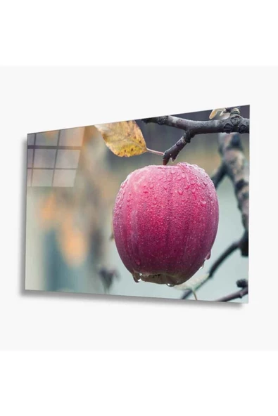 Meyveler Dekoratif ve Modern Cam Tablo 4mm Dayanıklı Temperli Cam