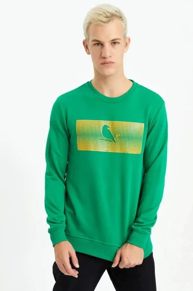 Olive Green PINN