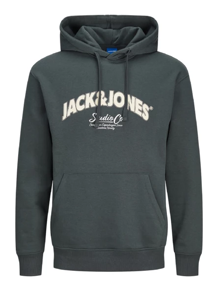JACK JONES Erkek Kapüşonlu Sweatshirt 12267584