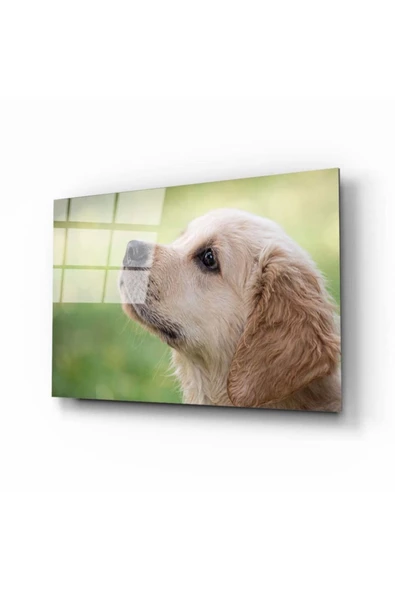 Köpek 1 Dekoratif ve Modern Cam Tablo