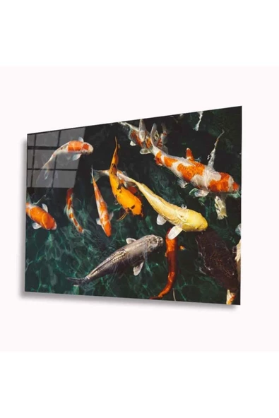 Balıklar Dekoratif ve Modern Cam Tablo 4mm Dayanıklı Temperli Cam