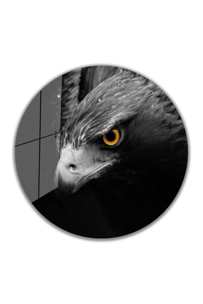 Kartal Yuvarlak Dekoratif ve Modern Cam Tablo 4mm Dayanıklı Temperli Cam
