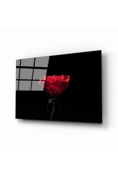 Damalı Gül Dekoratif ve Modern Cam Tablo