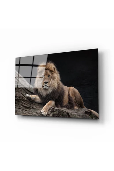 Aslan 12 Dekoratif ve Modern Cam Tablo