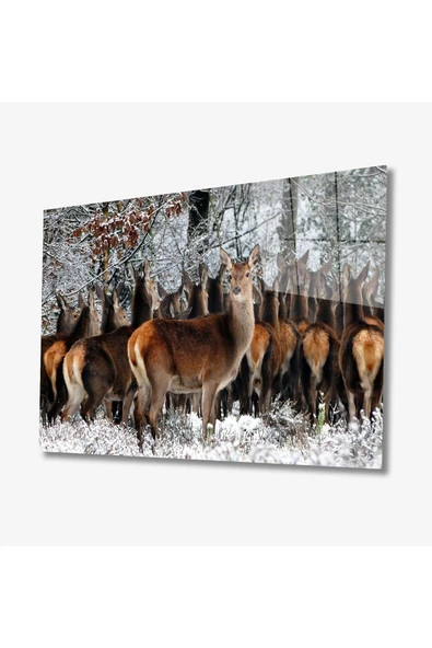 Geyikler Hayvan Dekoratif ve Modern Cam Tablo 4mm Dayanıklı Temperli Cam ürün görseli 1