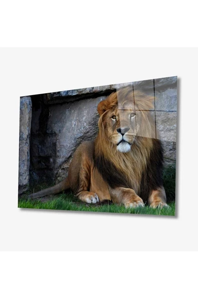 Aslan Hayvan Dekoratif ve Modern Cam Tablo 4mm Dayanıklı Temperli Cam ürün görseli