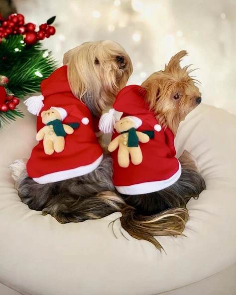 My Teddy Noel Kapşonlu Köpek Süeteri, Köpek Kıayafeti - 2