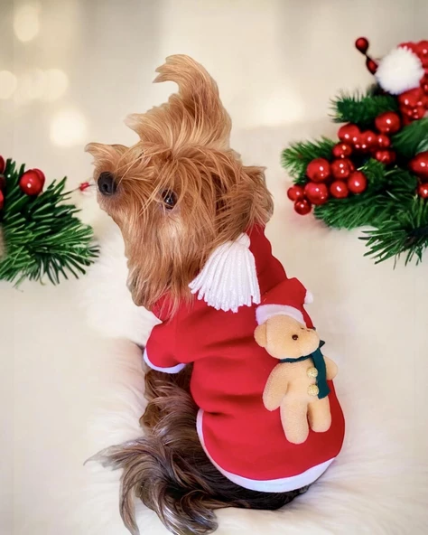 My Teddy Noel Kapşonlu Köpek Süeteri, Köpek Kıayafeti - 7