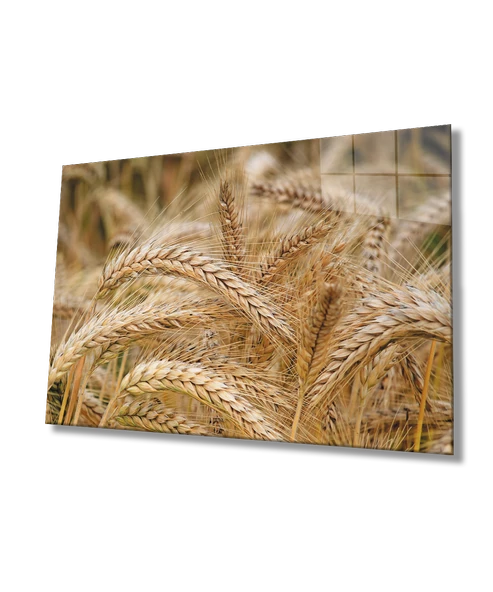 Başaklar Dekoratif ve Modern Cam Tablo   Virgos ürün görseli