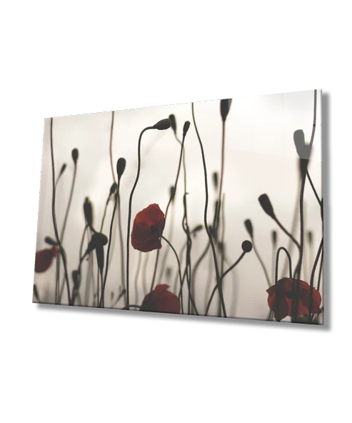 Gelincik Çiçeği Dekoratif ve Modern Cam Tablo    Poppy Flower