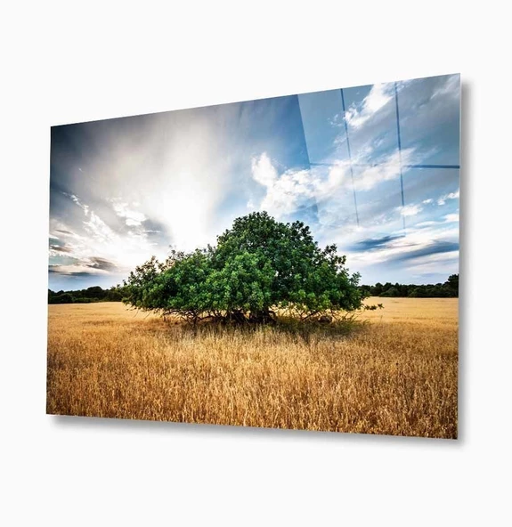 Doğa Dekoratif ve Modern Cam Tablo ürün görseli