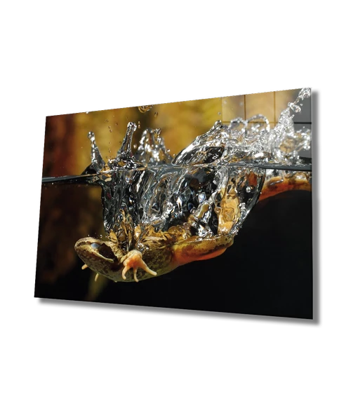 Sualtı Hayvan Dekoratif ve Modern Cam Tablo , Marine Life ürün görseli 1