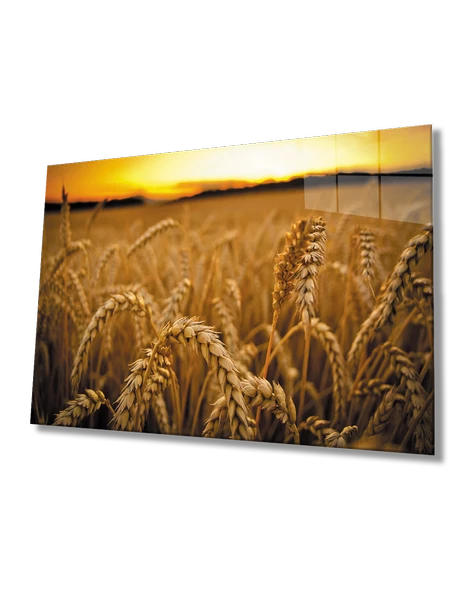 Gün Batımında Başaklar ürün görseli