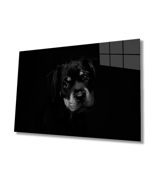 Köpek Hayvan  Dekoratif ve Modern Cam Tablo ürün görseli