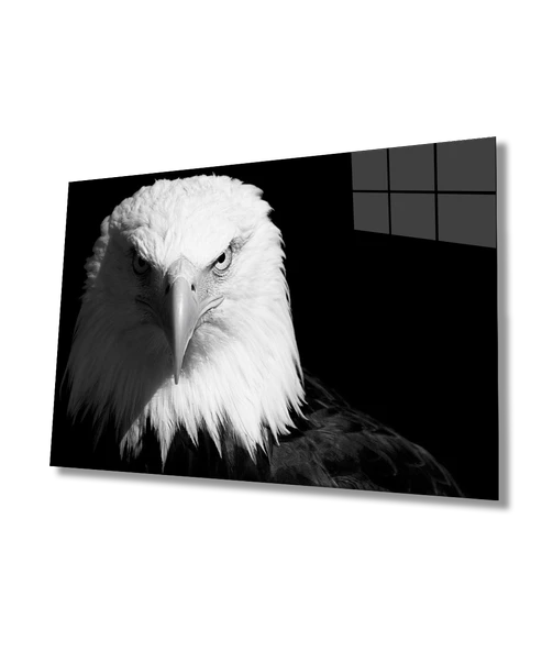 Kartal Hayvan  Dekoratif ve Modern Cam Tablo ürün görseli