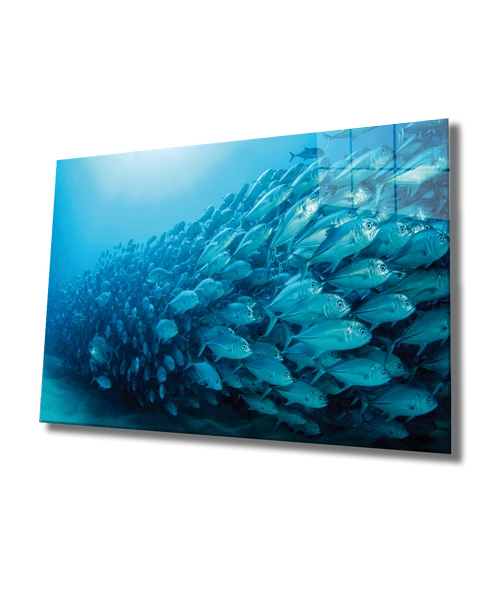 Balıklar Dekoratif ve Modern Cam Tablo Fishes