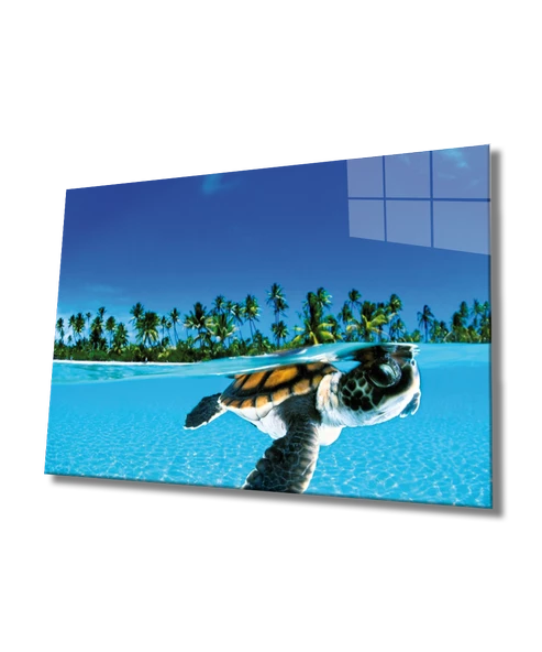 Deniz Kaplumbağası Dekoratif ve Modern Cam Tablo Sea Turtle ürün görseli