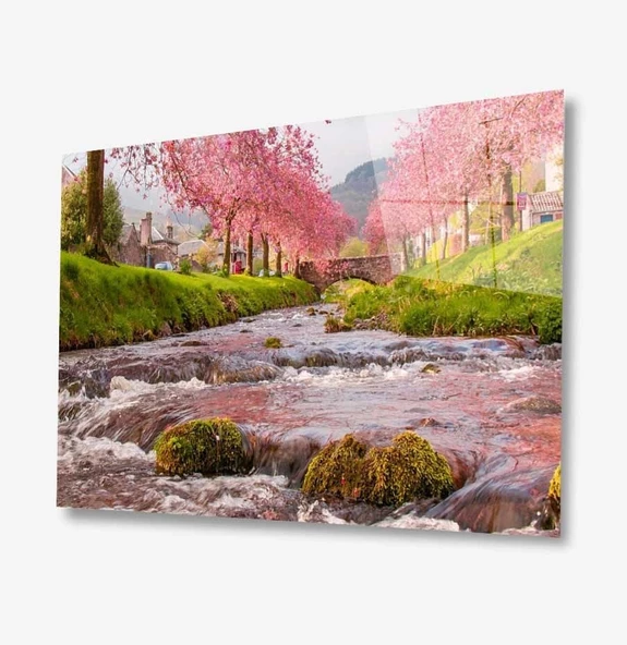 Doğa Dekoratif ve Modern Cam Tablo ürün görseli 1