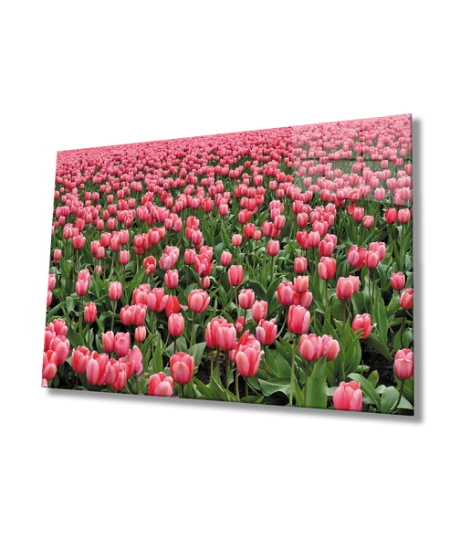 Pembe Lale Çiçek Pink Tulip Flower ürün görseli