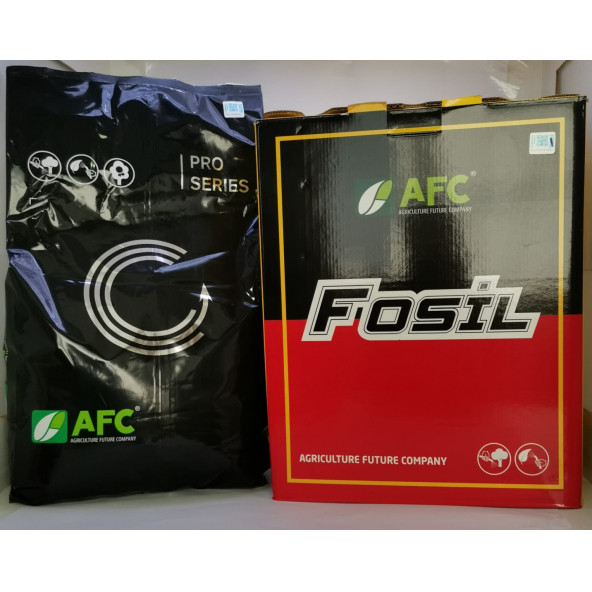 FOSİL