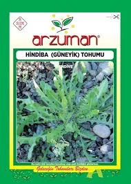 1 Paket Tohum Hindiba Güneyin Otu Tohumu Hediye Tohumlu