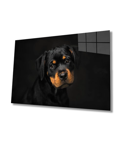 Köpek Hayvan  Dekoratif ve Modern Cam Tablo - Resim 2