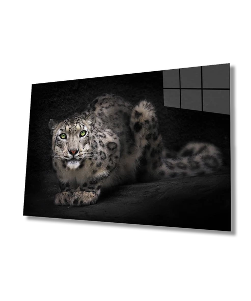 Çita Hayvan  Dekoratif ve Modern Cam Tablo ürün görseli