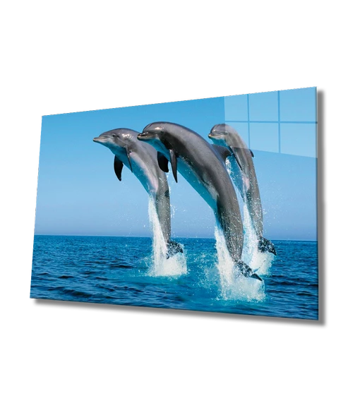 Yunus Balıkları Dekoratif ve Modern Cam Tablo Dolphins