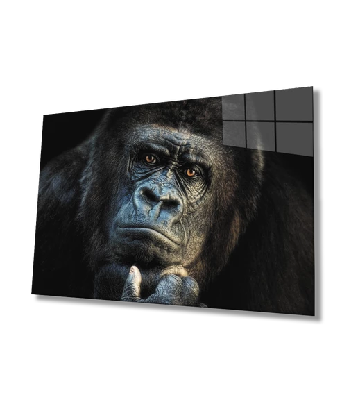 Goril Hayvan  Dekoratif ve Modern Cam Tablo