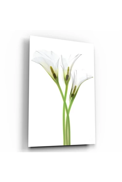 Çiçek Dekoratif ve Modern Cam Tablo