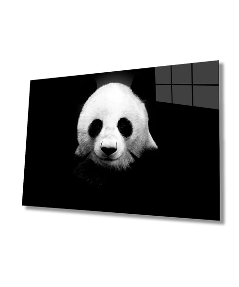 Panda Hayvan Dekoratif ve Modern Cam Tablo ürün görseli 1