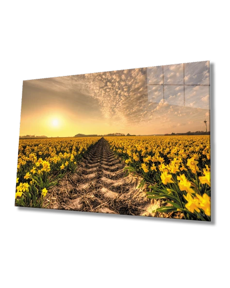 Gün Batımı Toprak Sarı Çiçekler Dekoratif ve Modern Cam Tablo ürün görseli