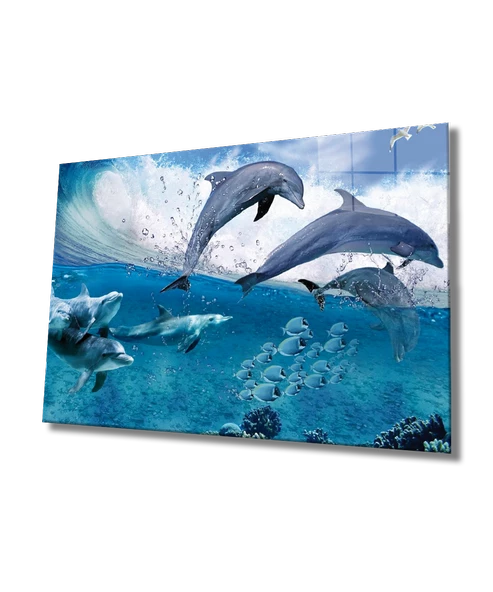 Yunus Balıkları Dekoratif ve Modern Cam Tablo Dolphins