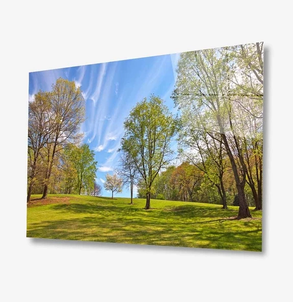 Doğa Dekoratif ve Modern Cam Tablo