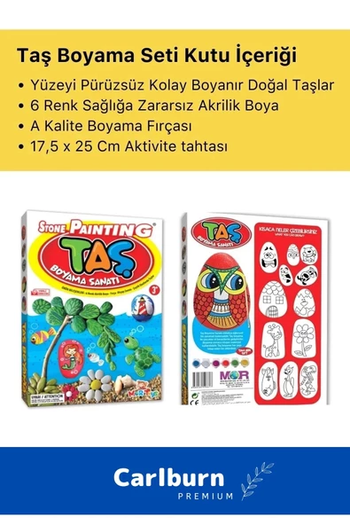 3 Yaş Üstü Çocuklar Için Zeka Geliştirici 6 Renk Akrilik Boyalı Fırçalı Taş Boyama Aktivite Seti - 3