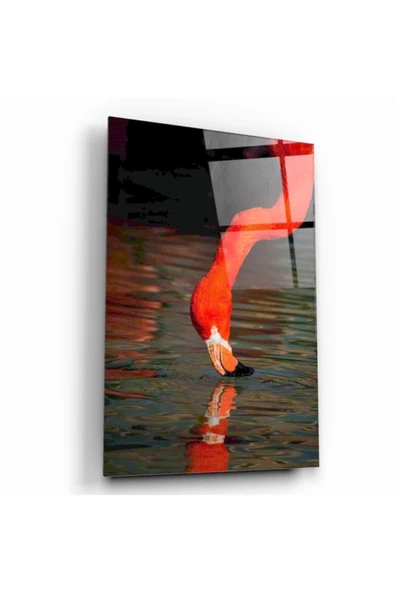 Su Ve Kuş Dekoratif ve Modern Cam Tablo ürün görseli