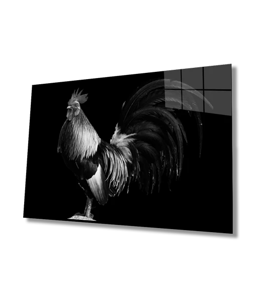 Horoz Hayvan Dekoratif ve Modern Cam Tablo ürün görseli 1