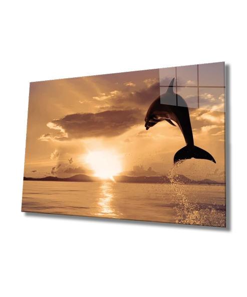 Yunus Balığı Dekoratif ve Modern Cam Tablo Dolphin